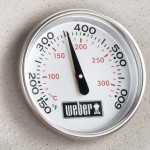 weber q320 gas grill thermometer