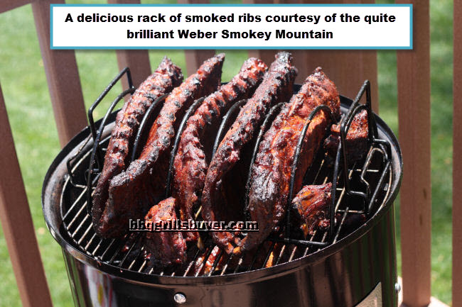 Smokey Montain Ribs